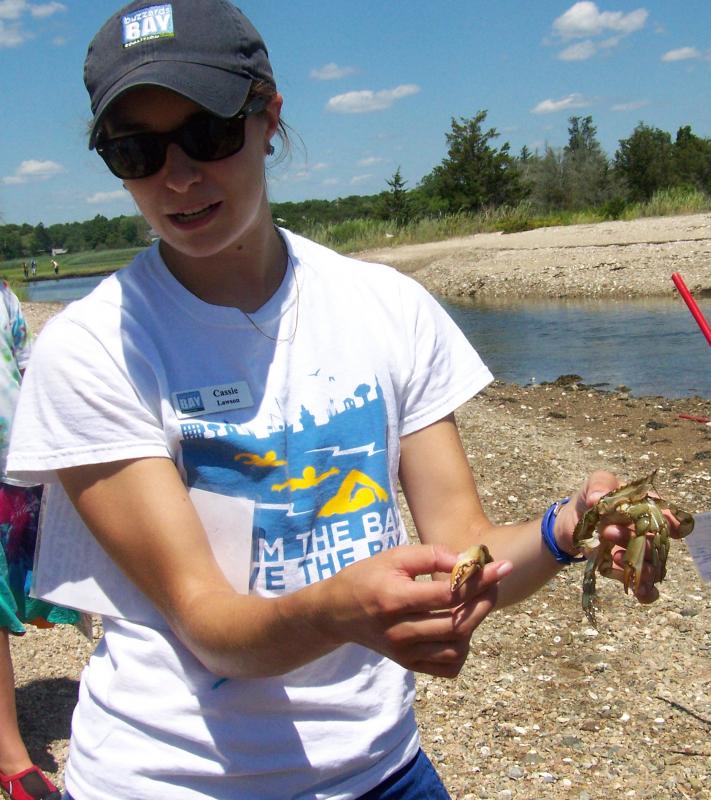 Cassie Lawson of the Buzzards Bay Coalition explains the difference between a male and female crab. BY MATTHEW BERNAT
